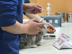 -联合动物医院(光谷诊疗中心)