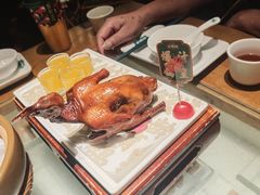 -大鸽饭(北京路店)