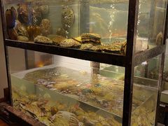 面包甜点陈列柜-甄御•海鲜新青岛菜(麦岛店)