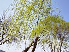 -西安世博园
