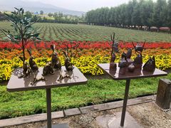 -富田农场