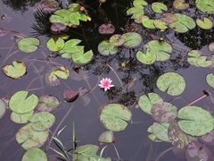 -花溪公园