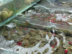 -人和啤酒屋海鲜大排档(营口路店)