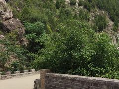 -府君山公园