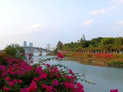 -万绿园