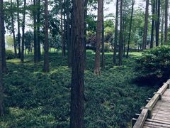 -月湖风景区