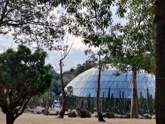 -深圳仙湖植物园