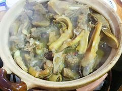 -霞姐屯昌枫木香草鸭店(海螺店)