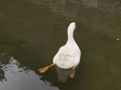 -三里河公园