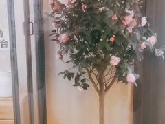-6号咖Coffee