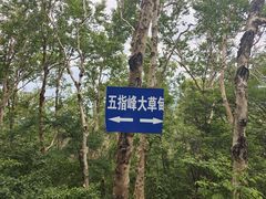 -白草畔自然风景区