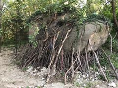 -白水寺森林公园