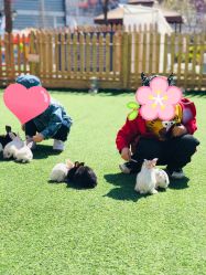 -萌宠亲子动物乐园(槐房万达店)