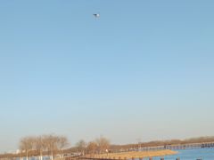 -西青郊野公园