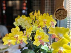 景观位-味可道美食坊(福基路店)