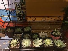 -密讯馆密室逃脱&换装侦探剧(环球港旗舰店)