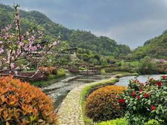 -桃花岭景区