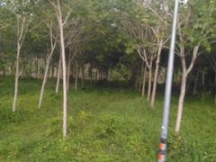 -王权免税店(普吉市区店)