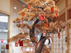 -伊豆野菜村(大族广场店)