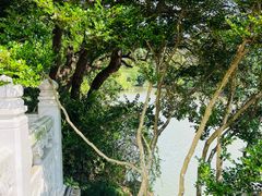 -狼山风景名胜区