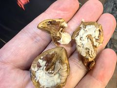 -榕江牛瘪牛肉火锅