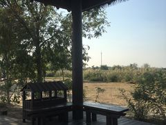 景点-西青郊野公园