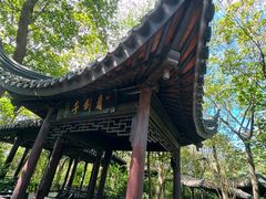 -上海佘山国家森林公园天马山园