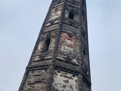 -上海佘山国家森林公园天马山园