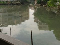 -小洲村