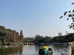 -桂湖森林公园