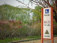 -永定河休闲森林公园