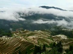 android_upload_pic-瑶家饭庄