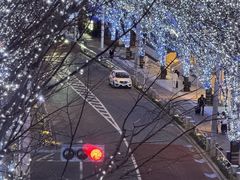 -六本木新城展望台(东京城市景观)