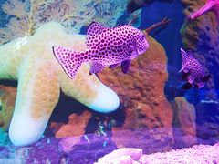 -乌鲁木齐海洋馆