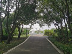 -同里国家湿地公园