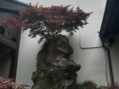 -胡雪岩故居