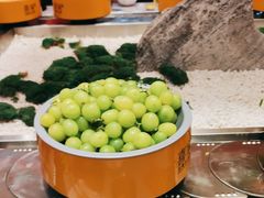 -喜家自助小火锅(乐客城店)