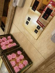 -北京俪婴妇产医院(朝阳大悦城店)