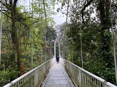 -保利石象湖景区