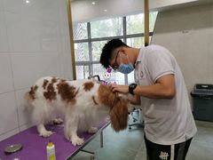 -宠爱国际动物医院(德胜门店)