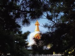 -护国法轮寺