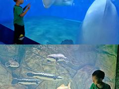 -泉城欧乐堡海洋极地世界