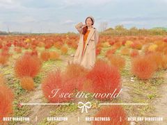 -映月湖中央公园