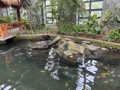 -南宫五洲植物乐园