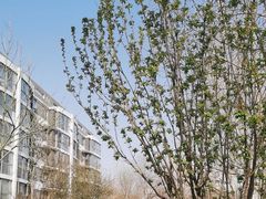 -观景园小区