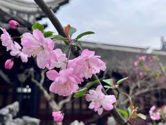 -中国昆曲博物馆