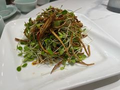 -蜀阳餐厅·金牌水煮鱼
