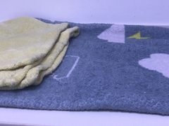 -关爱宠物医院·猫科中心·消化科(滨湖万达分院)