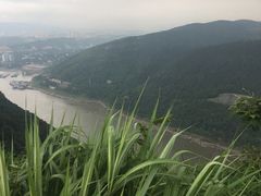 -铁山坪森林公园