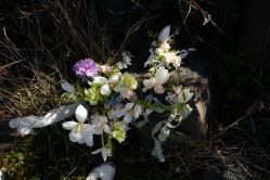 -DNA Wedding 婚礼记(上海店)